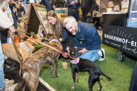 Das Hunde-Eis, hergestellt aus „Freshe Schnauze“, wurde direkt den Messehunden kredenzt.