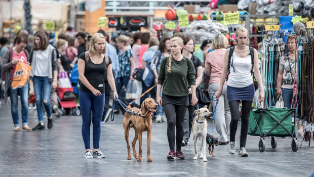 Mit dem Thema Hund will die Passion Pferd das Messeprogramm bereichern.