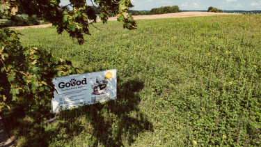 Goood unterstützt 10.000 m² Bienenweide