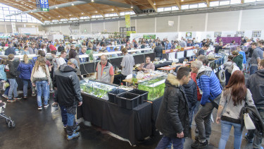 Aqua-Fisch und Aqua-Expo-Tage wurden abgesagt