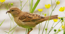 Der warme Frühling zeigt Wirkung