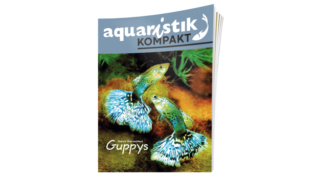 Dähne Verlag, aquaristik kompakt