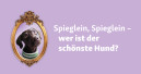 Fressnapf sucht den schönsten Hund Deutschlands