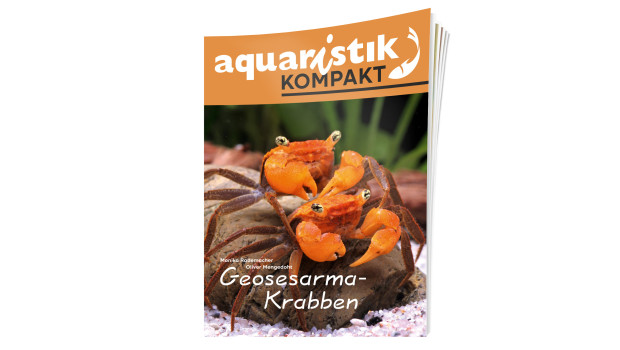 Dähne Verlag, aquaristik kompakt