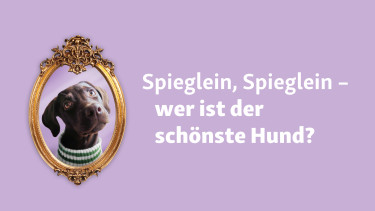 Fressnapf sucht den schönsten Hund Deutschlands