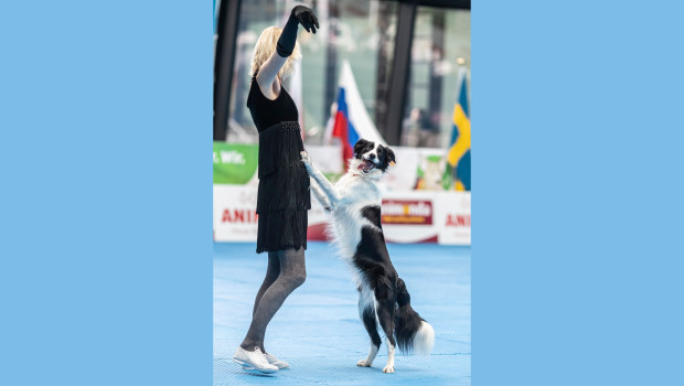 Das Dog-Dance-Turnier zur Qualifikation für die DVG-Bundessiegerprüfung findet auf der Animal statt.