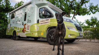 Bosch Tiernahrung startet zweite Sammy’s Heldenreise