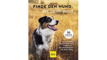 Finde den Hund, der zu dir passt