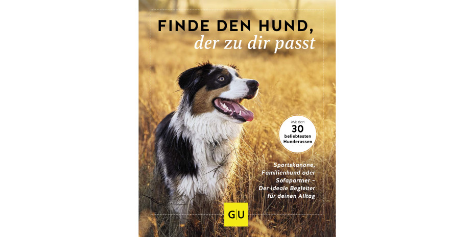 Finde den Hund, der zu dir passt