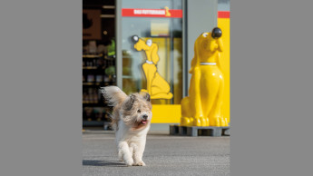 Das Futterhaus gibt zum Jahresende Gas