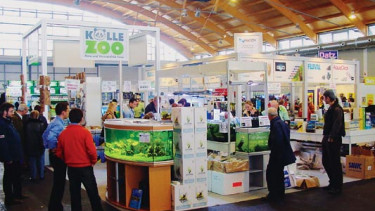 Leichtes Besucherplus auf der Doppelmesse