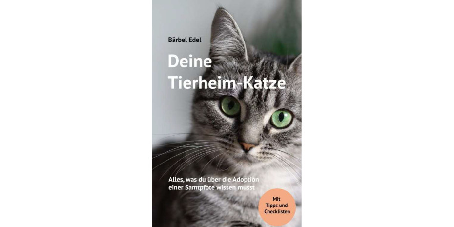 Deine Tierheim-Katze