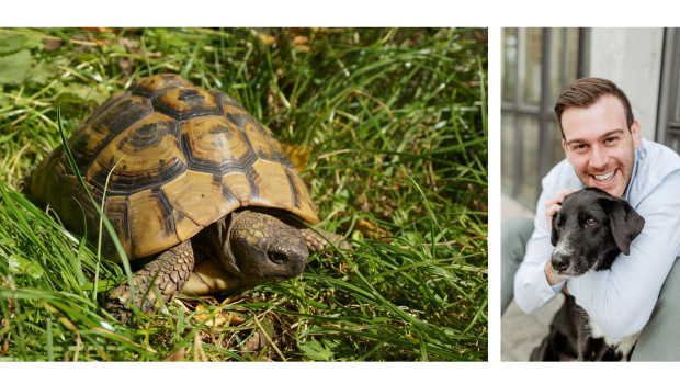 Matthias Lebens vermittelt Grundlagen zur Haltung und Vermittlung von Europäischen Landschildkröten im Zoofachhandel.