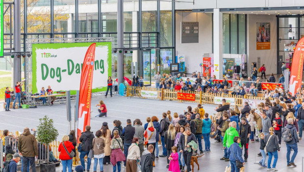 Eine Neuheit im Rahmen der Tierisch Gut stellt das erste Dog-Dancing-Turnier dar.