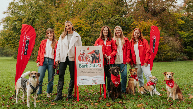 Laura Wontorra (2.v.l.) gemeinsam mit Bark-Date-Gründerin Lisa Williamson (l.) auf einer Hundewiese.