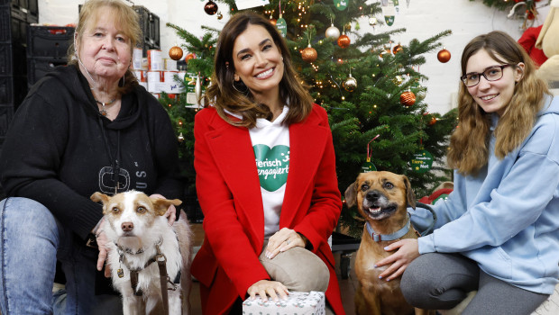 Botschafterin Jana Ina Zarrella erfüllte Anja Hoppe mit Fluse und Mirjam Seidel mit Bobby in Hamburg erste Weihnachtswünsche.