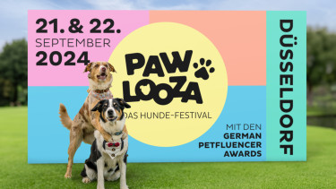 Tony Beachparty wird Pawlooza