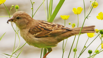 Der warme Frühling zeigt Wirkung